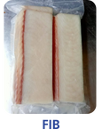 Ilustrasi FIB