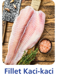 Ilustrasi Fillet Kaci-kaci