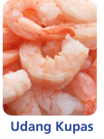 Ilustrasi Udang Kupas